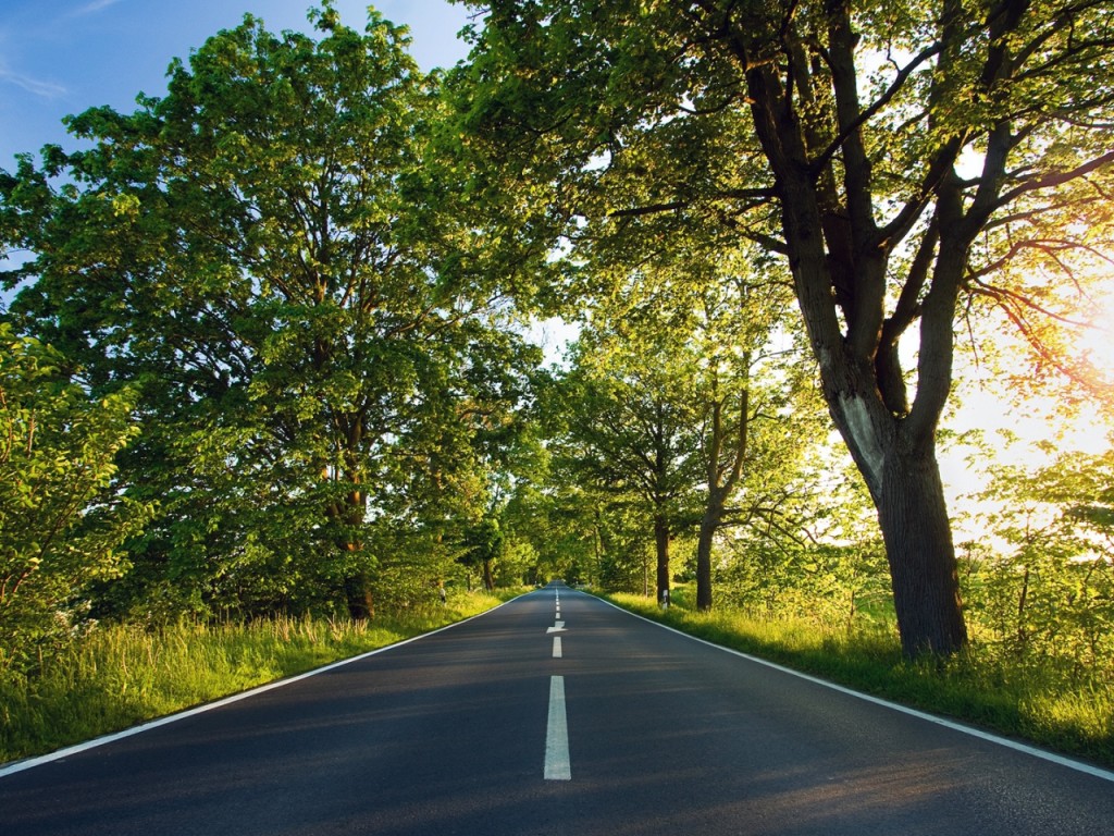 road-asphalt-marking-summer-sunlight-trees